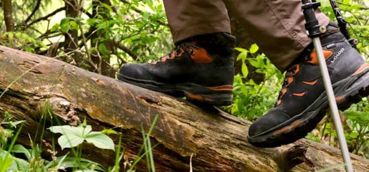 Best Hiking Shoes for Narrow Feet