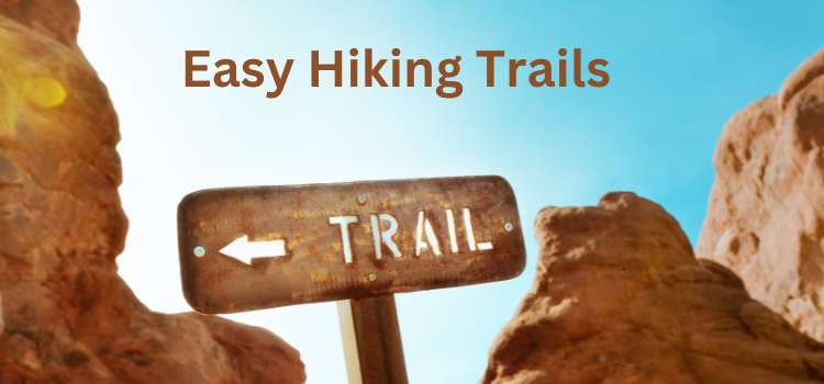 Discover 5 Easy Hiking Trails Near Me