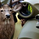 Best Binoculars for Deer Hunting