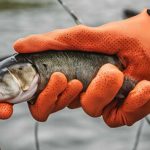 Best Fishing Gloves for Catfish