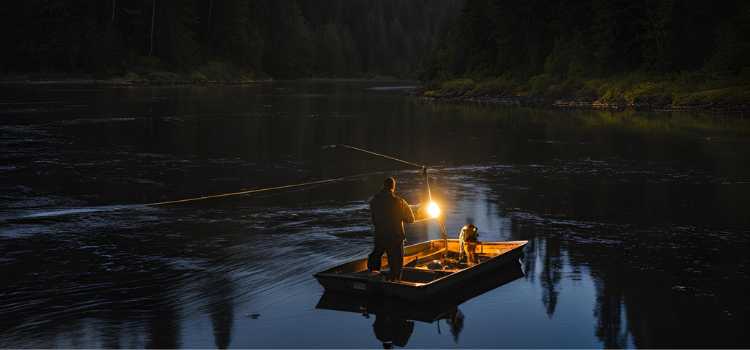 Essential Gear for Night Fishing